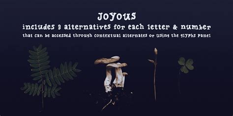 Joyous Font Family by Ana's Fonts - Fontspring