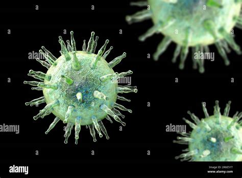 Herpesvirus Umano Immagini E Fotografie Stock Ad Alta Risoluzione Alamy