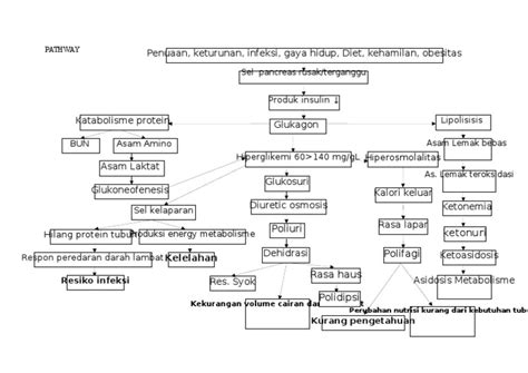 Pathway Diabetes Melitus Pdf