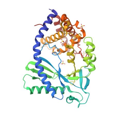 RCSB PDB 7FTX Crystal Structure Of Apo Human Cyclic GMP Synthase