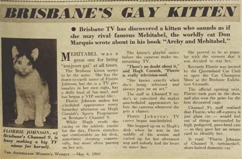 The McWhirters Project Brisbane S Gay Kitten No Jokes Please Australian Women S Weekly