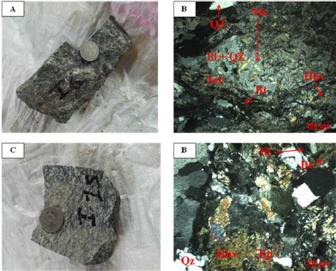 Macroscopic And Microscopic Aspects Of The Granitoids Of The Savor