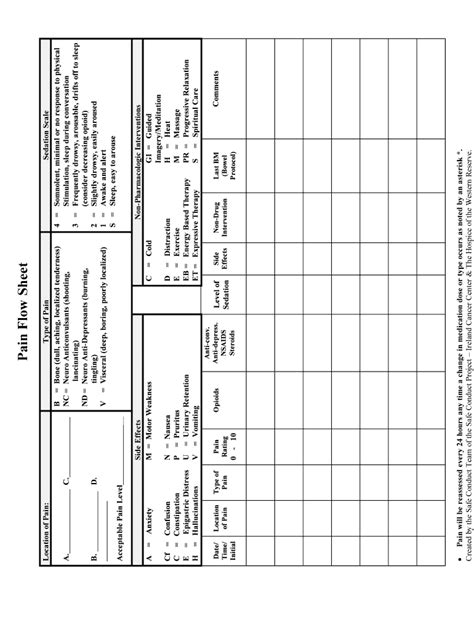 Fillable Online Rgps On Pain Flow Sheet Promoting Excellence Rgps