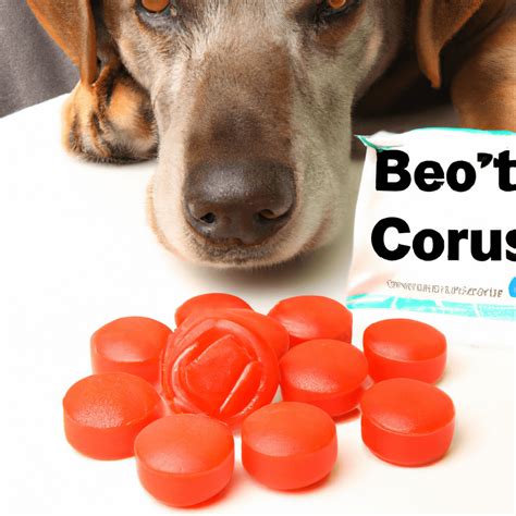 Can Cough Drops Kill A Dog Pinoy Watch Dog