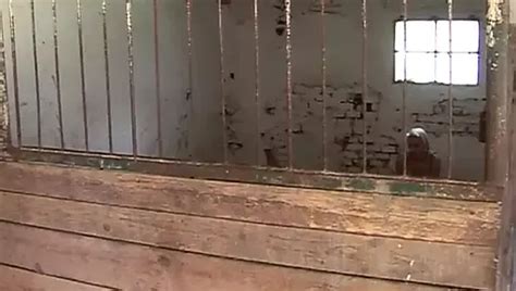 Free Bizarre Sex Porn Videos Xhamster