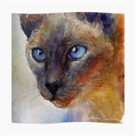 Watercolor Siamese Cat Painting 2 Svetlana Novikova Poster For Sale By Novikova Art Redbubble