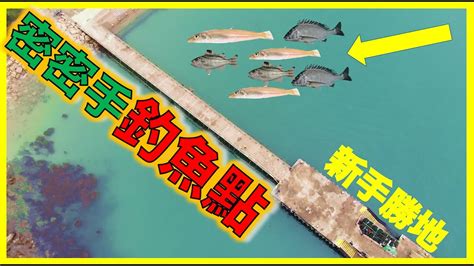 香港釣魚好去處新手釣魚勝地超詳盡介紹超易釣中文字幕 YouTube