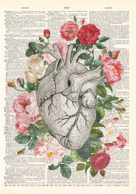 Pin By Melissa Solano On Wallpapers Human Heart Art Anatomical Heart