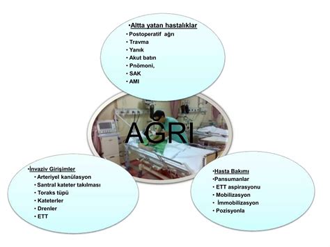 Agri Sedasyon Ve Paralizi Monitorizasyonungre Adana 2008 PPT