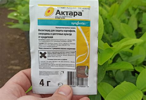 «Актара» от тли: средство против тли на розах и огурцах, на плодовых ...