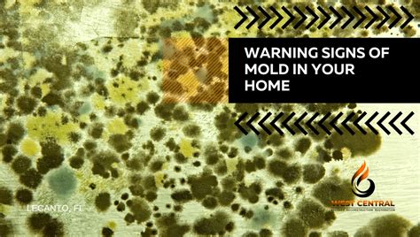 Warning Signs Of Mold In Your Home West Central Equipment And