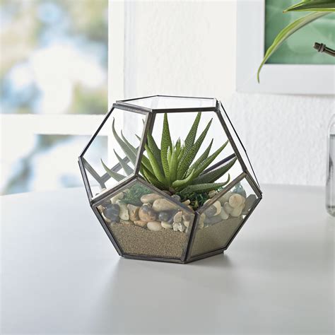 Better Homes Gardens Geo Metal And Glass Terrarium 6 In L X 6 In W X