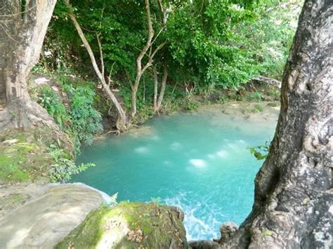 Poza Pico Chele Un Maravilloso Destino En Comayagua