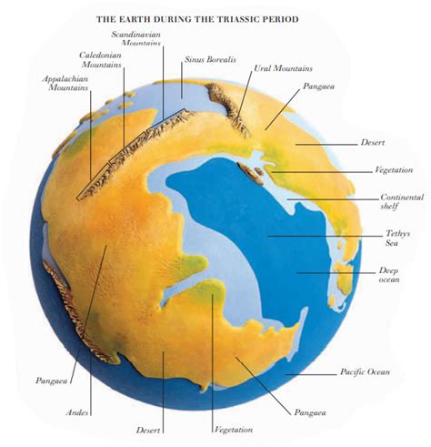 Triassic Period 250200 Million Years Ago Allstars Blogs