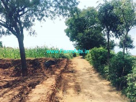 Acres Guntas Farm Land For Sale In Saslu Hobli Doddaballapur