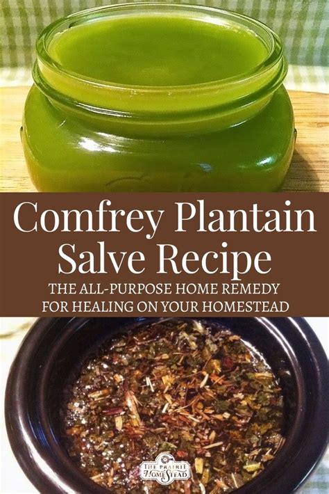 Homemade Comfrey Salve Recipe The Prairie Homestead Recipe Herbal