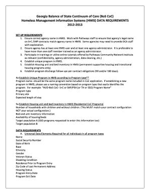 Fillable Online Dca State Ga Georgia Balance Of State Continuum Of Care