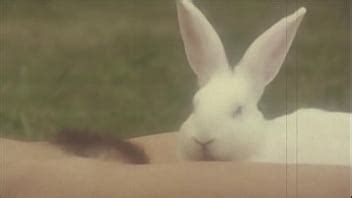 Dark Lantern Entertainment Presenta Mujeres Xvideos