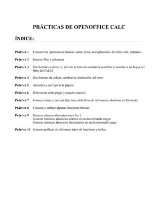 Practicacalc Pdf