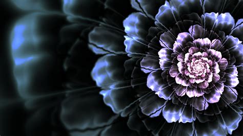 Dark Flower Background Wallpaper | Best Flower Site