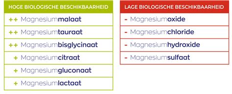 Vitakruid Magnesium Malaat Skin Clinic Damla