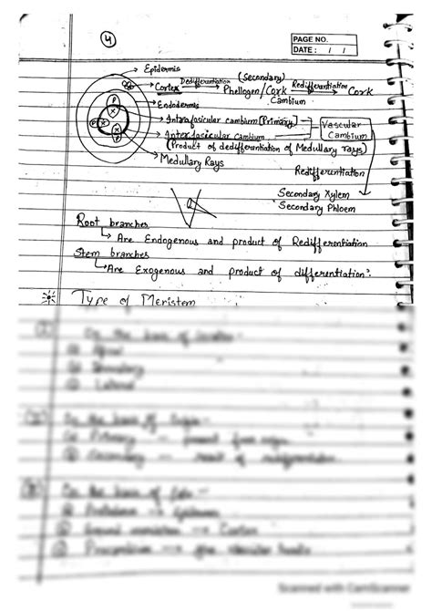 Solution Neet Biology Handwritten Notes On Plant Anatomy Topper S