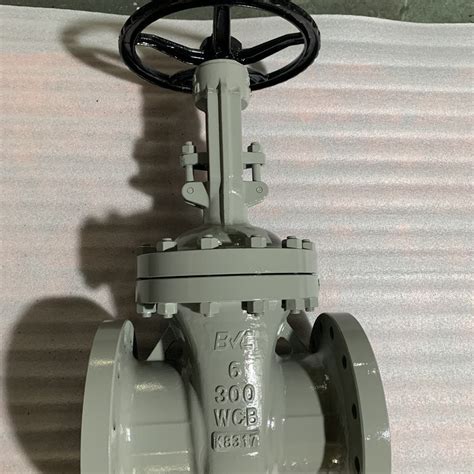 ANSI Class150 RF Flange 3 Inch Cast Steel Gate Valve China Valvula