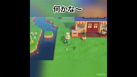 何釣れた？ Animal あつ森 Shorts あつ森 動画まとめ