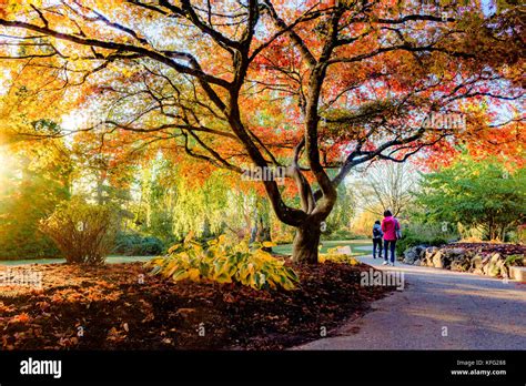 Queen Elizabeth Park Vancouver British Columbia Canada Stock Photo