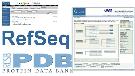 Bioinformatics Biology Notes Online