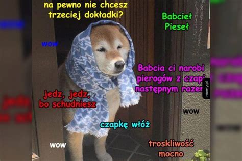 Piese Wszystko O Kultowym Psie Z Mem W Scroll