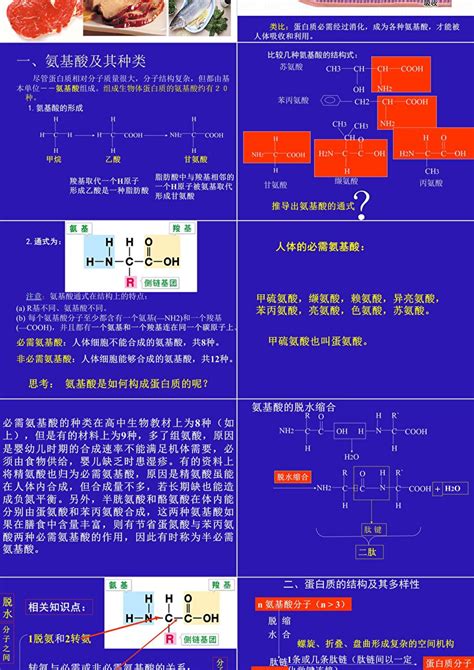 人教版教学课件 名校联盟 辽宁省大连市十四中高中生物 生命活动的主要承担者 蛋白质 课件必修一ppt卡卡办公