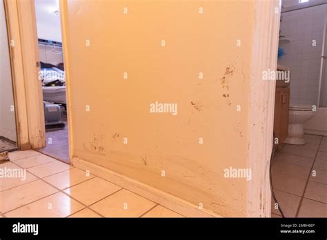 Santa Cruz Watsonville Ca Usa On January 12 2023 Walls Show The