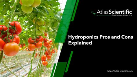 Hydroponics Pros And Cons Explained Atlas Scientific