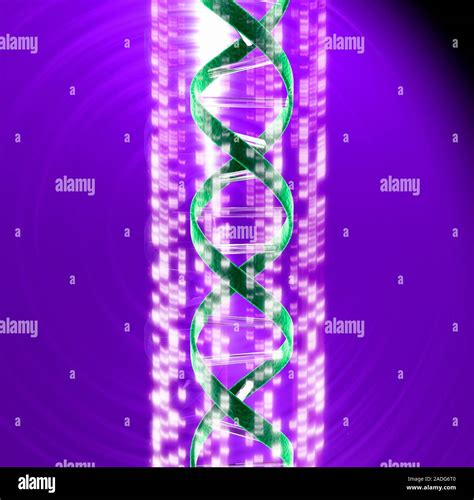 Dna And Autoradiogram Conceptual Computer Artwork Of A Dna