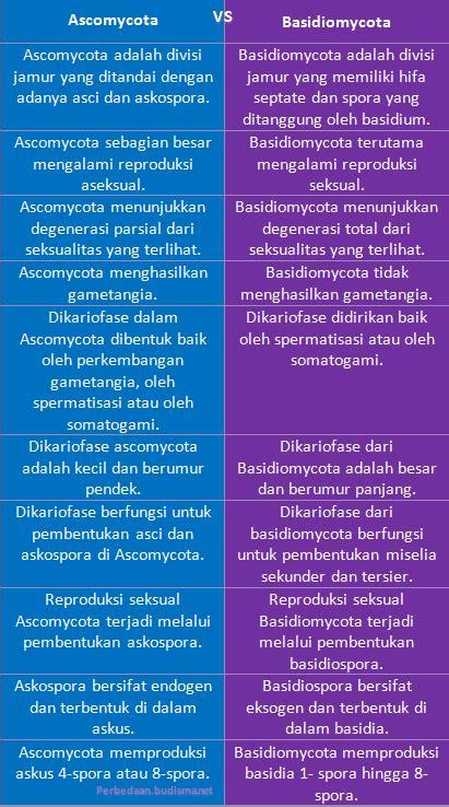 Perbedaan Ascomycota Dan Basidiomycota Porn Sex Picture