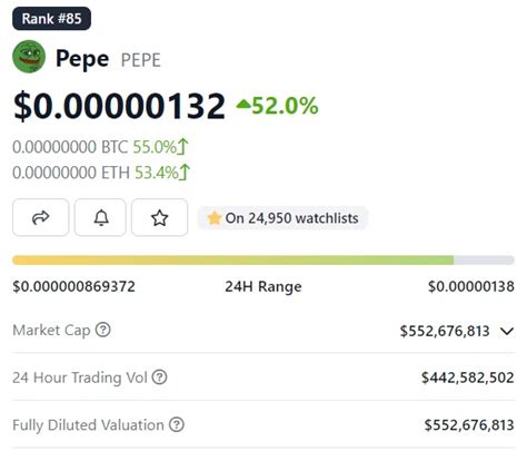 Pepe Coin Man Makes Million In Weeks With A Investment