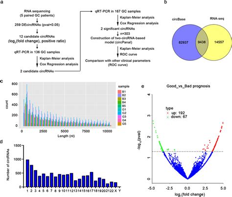 Circrna Expression Profile Of Gc Patients With Different Prognoses A