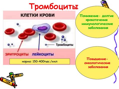 Форменные элементы крови - презентация онлайн