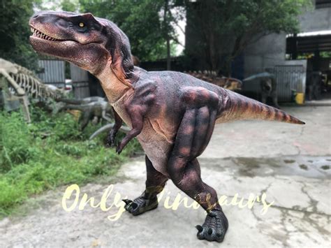 Adult Giganotosaurus Costume Plandetransformacionuniriojaes