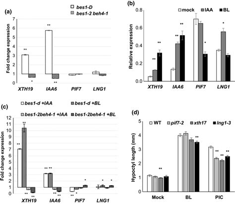 Expression Of Arf Bes Targets Is Hormone Sensitive And Important For