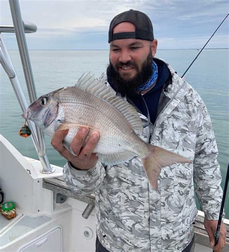 Platter Sized Porgies At Jessups Neck On The Water