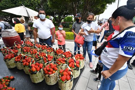 Así se vivió el Festival de la Fresa 2021 en Irapuato DeOchoNews