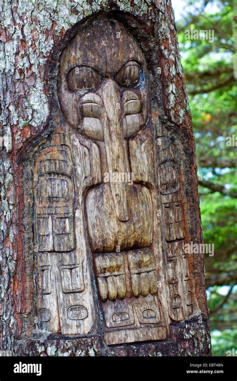 Tlingit Carving At The Trunk Of A Living Tree Pointing Out The