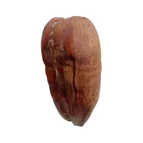 Buy Dry Coconut With Husk Shell, Sukha Nariyal Online for Puja - Pujasthan