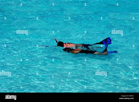 Snorkelling In The Crystal Clear Waters Of Half Moon Kay Half Moon