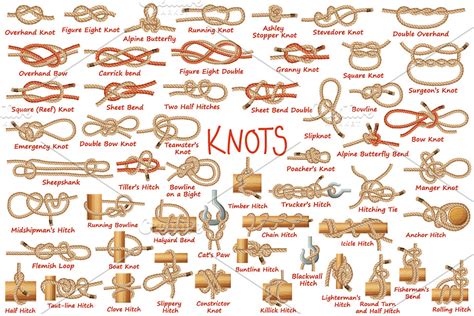 Rope Knots Set Vector Illustration Pre Designed Illustrator Graphics ~ Creative Market