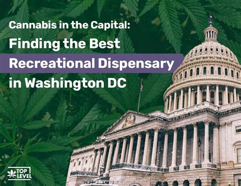 Cannabis In The Capital Finding The Best Recreational Dispensary In