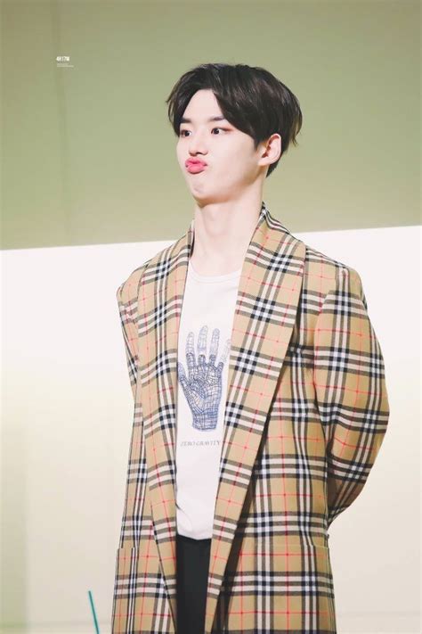 Pin Oleh Mryagv Di Pentagon 펜타곤 Selebritas Kreatif