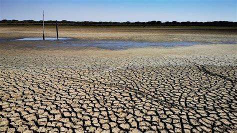 La ONU Alerta Del Riesgo Inminente De Crisis Mundial Del Agua